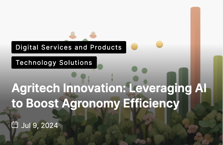 Roughly — Product showcase